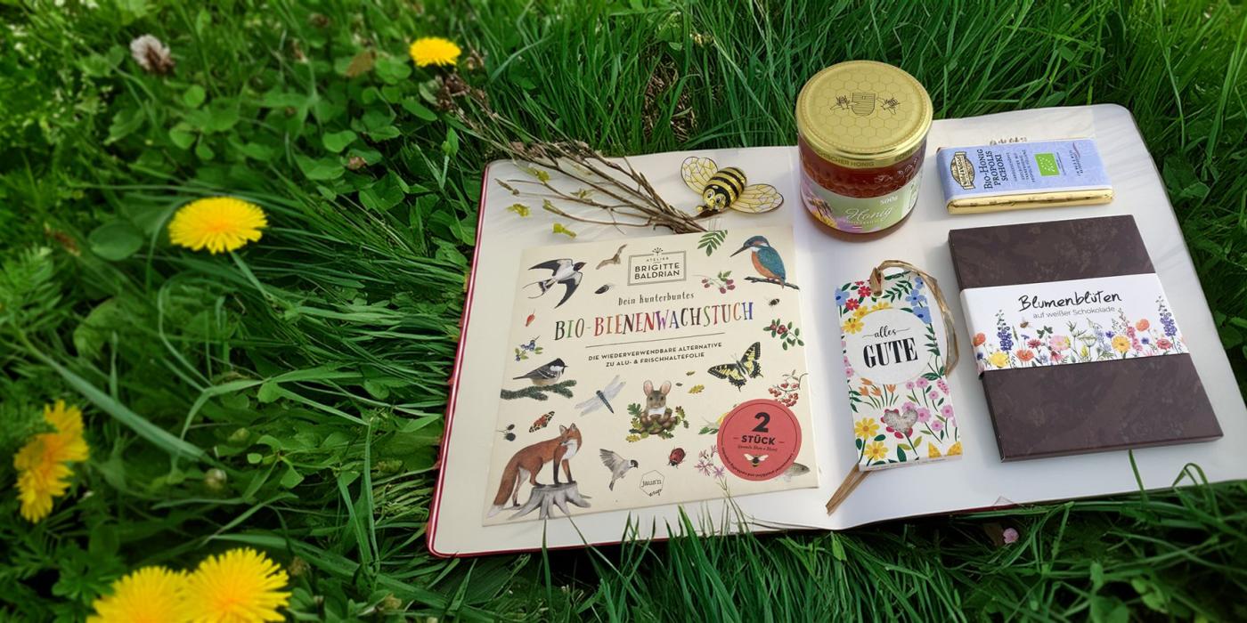 Fruehling-Bienenhaus-Freinberg-Header